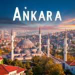 Ankara SEO Uzmanı