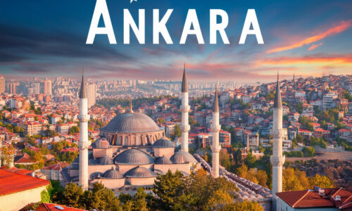 Ankara SEO Uzmanı